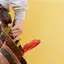 Handyman repair service in Lincoln, NE for home fixes and improvements
